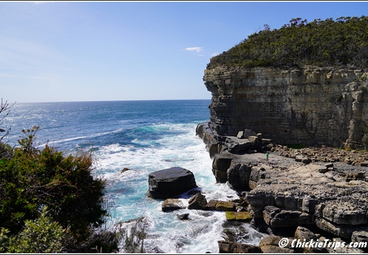 Tasman Peninsula And Eagle Hawk Neck 005