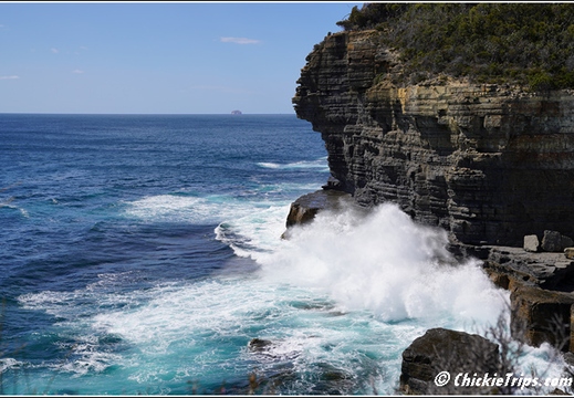 Tasman Peninsula And Eagle Hawk Neck 009