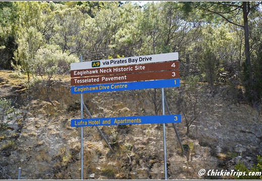 Tessellated Pavement State Reserve AU 001