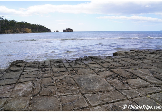Tessellated Pavement State Reserve AU 010