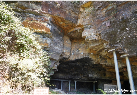 Blue Mountains 007