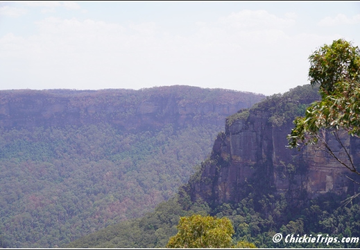 Blue Mountains 036