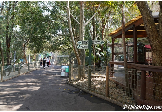 Featherdale Sydney Wildlife Park 007