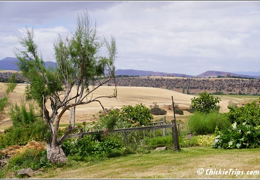 Day 12 - Wildlife and Waterways - Hobart Tasmania Au - Dec 31 014
