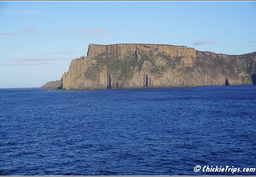 Day 12 - Wildlife and Waterways - Hobart Tasmania Au - Dec 31 022