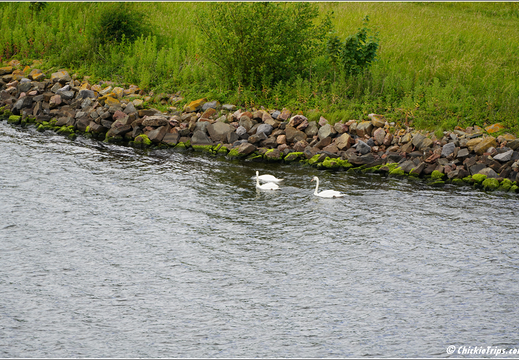 Holland America Cruise - 7 Day Norse Legends 0023