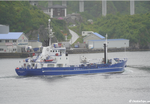 Holland America Cruise - 7 Day Norse Legends 0030