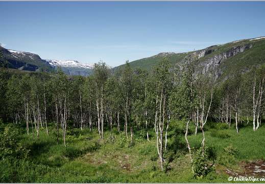 Holland America Cruise - 7 Day Norse Legends 0221