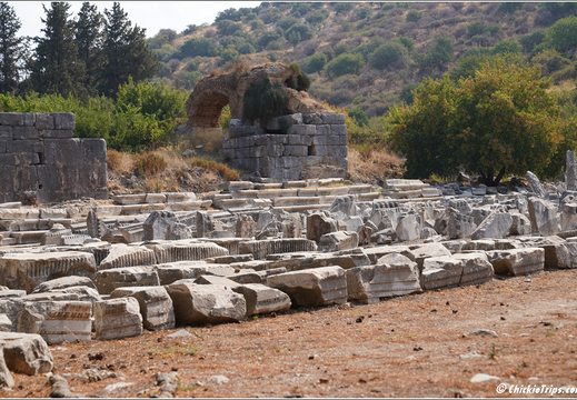 Day 4 Turkey Aegean Sea - Kusadasi Ephesus 0034