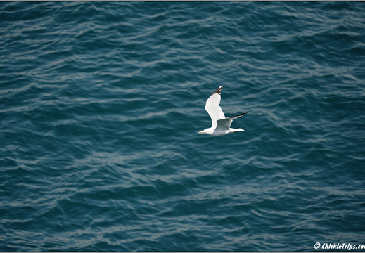 Day 6 Turkey Marmara Sea - Istanbul 0009