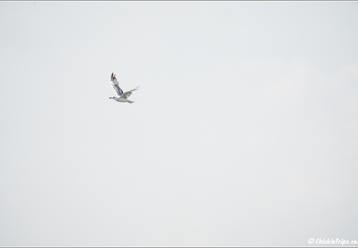 Day 6 Turkey Marmara Sea - Istanbul 0044