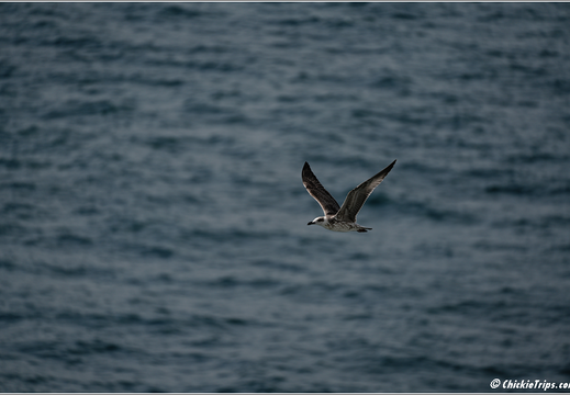 Day 6 Turkey Marmara Sea - Istanbul 0052
