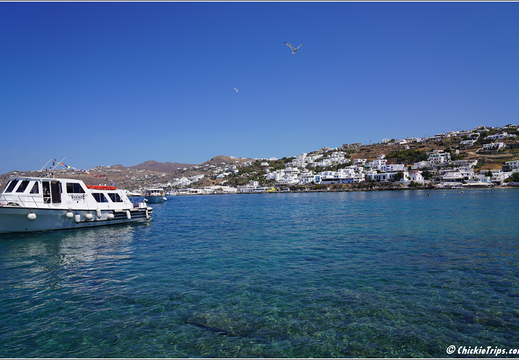 Day 8 Greece Aegean Sea - Mykonos 0015