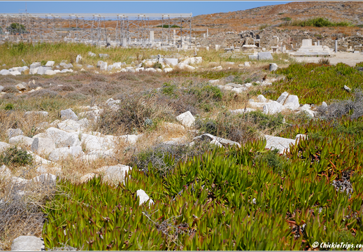 Day 8 Greece Aegean Sea - Mykonos 0083