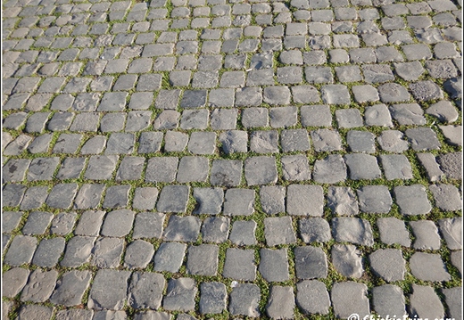 Rome 018