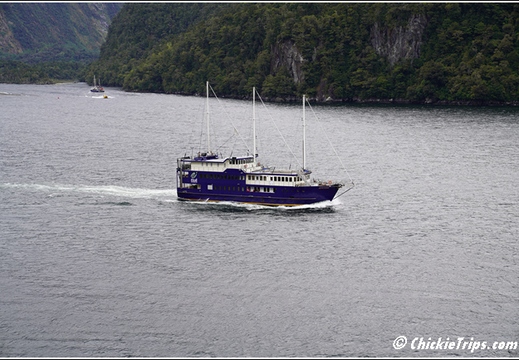 Day 09 10 11 - At Sea - Fjordland National Park - Dec 28 29 30 102
