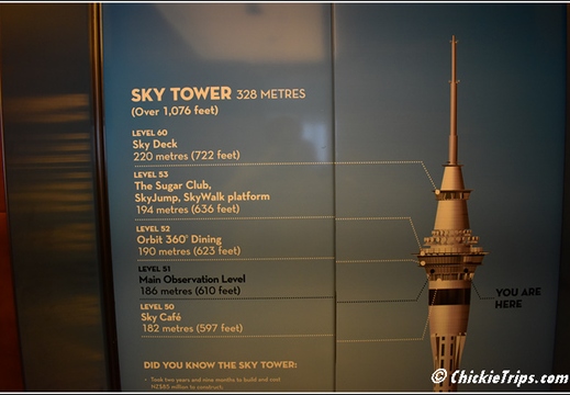 Day 01 - Auckland Nz - Dec 20 007