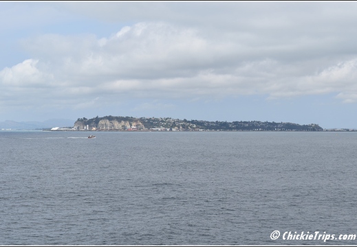 Day 04 - Cape Kidnappers Station n Gannet Safari -Napier NZ - Dec 23 001