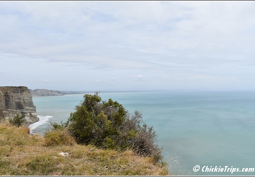 Day 04 - Cape Kidnappers Station n Gannet Safari -Napier NZ - Dec 23 020