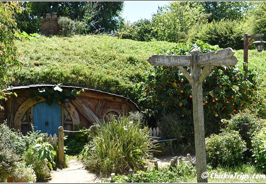 Day 03 - Hobbiton Movie Set -Tauranga Rotorua Nz - Dec 22 002