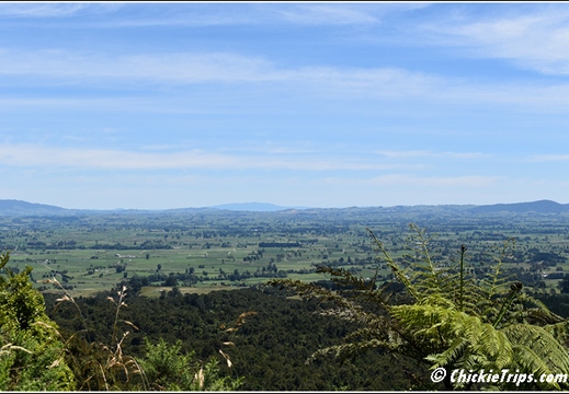 Day 03 - Hobbiton Movie Set -Tauranga Rotorua Nz - Dec 22 026