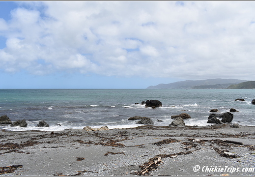 Day 05 - Wellington Harbour And The Storm Coast -Wellington Nz - Dec 24 009
