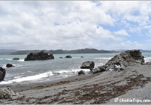 Day 05 - Wellington Harbour And The Storm Coast -Wellington Nz - Dec 24 011