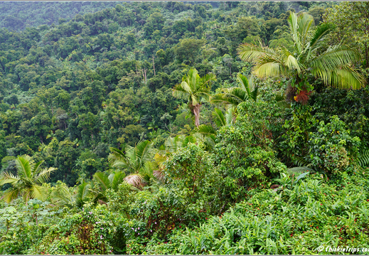 Day 4 Dec 26 San Juan Puerto Rico 0034
