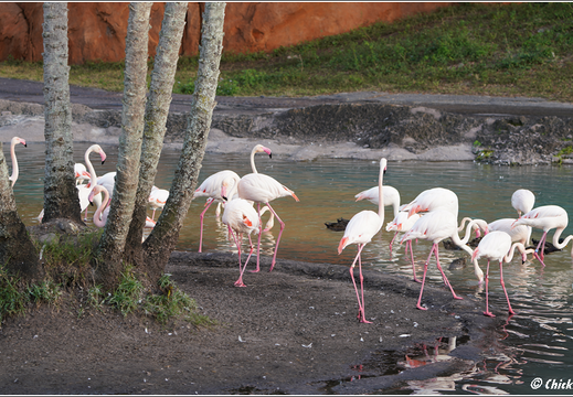 Day 9 10 11 Universal And Disney 0051