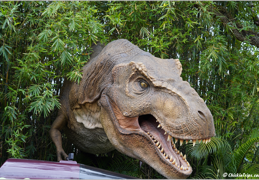 Day 9 10 11 Universal And Disney 0109