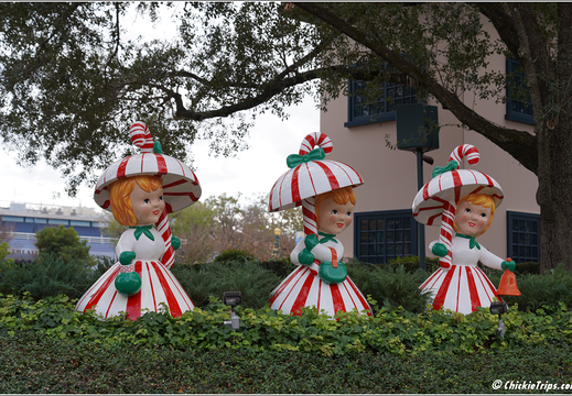 Day 9 10 11 Universal And Disney 0154