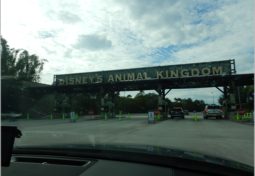 Day 9 10 11 Universal And Disney 0201