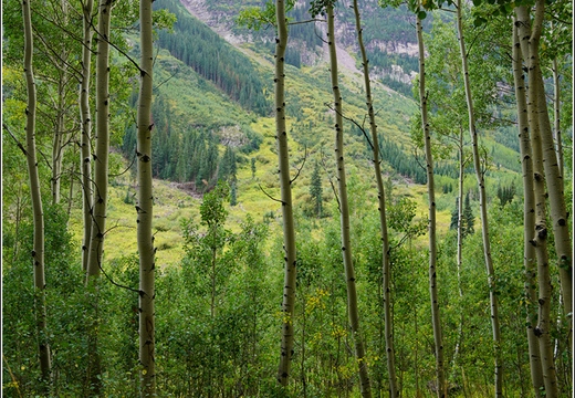 Day 2 - Colorado - Maroon Bells 017