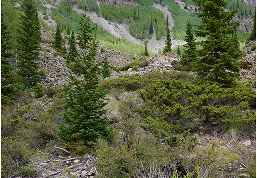 Day 2 - Colorado - Maroon Bells 053