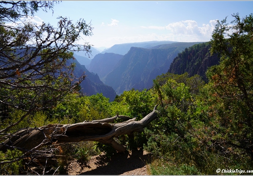 Day 3 - Colorado - Black Canyon of the Gunnison National Park 012