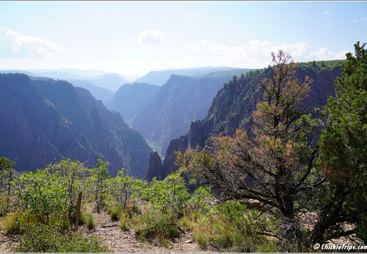 Day 3 - Colorado - Black Canyon of the Gunnison National Park 020