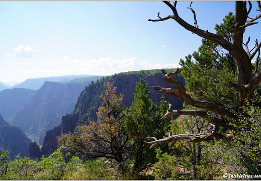 Day 3 - Colorado - Black Canyon of the Gunnison National Park 021