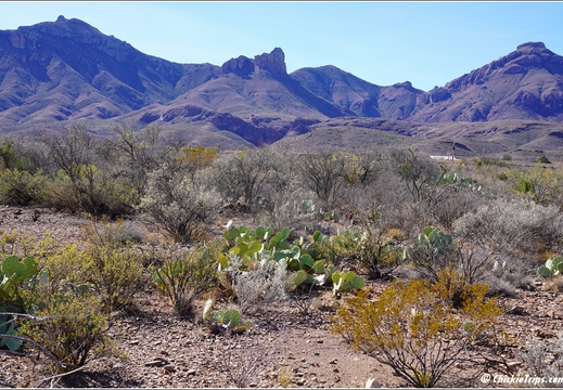Big Bend National Park - Texas 012