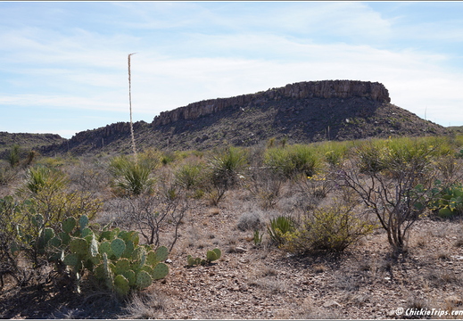 Big Bend National Park - Texas 015