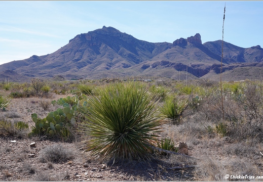 Big Bend National Park - Texas 016