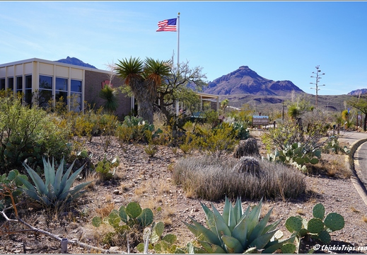 Big Bend National Park - Texas 023