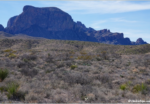 Big Bend National Park - Texas 032