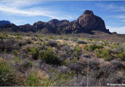 Big Bend National Park - Texas 037