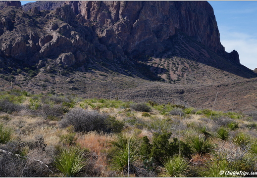 Big Bend National Park - Texas 042
