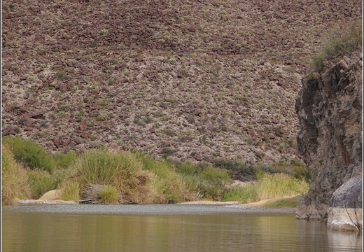 Big Bend National Park - Texas 063