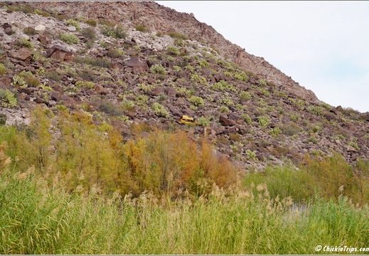 Big Bend National Park - Texas 068