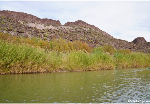 Big Bend National Park - Texas 069