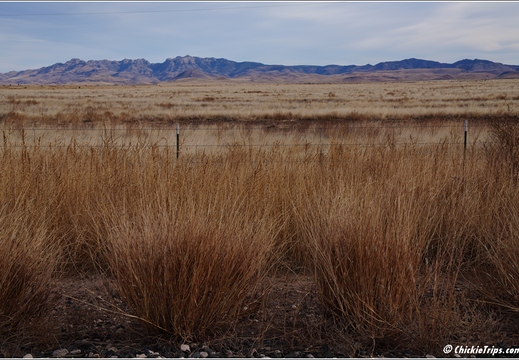 Big Bend National Park - Texas 096
