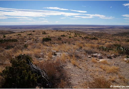 Carlsbad Caverns National Park - New Mexico 017