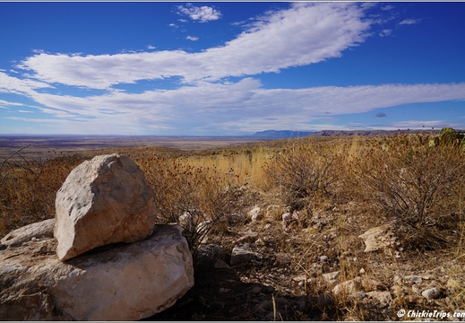 Carlsbad Caverns National Park - New Mexico 023
